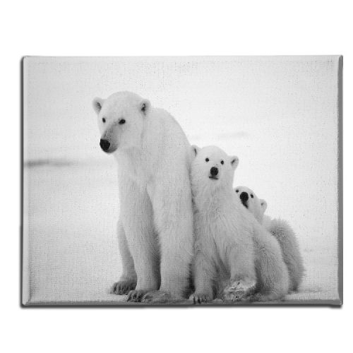 EPIKASA Canvas Print Bear Family - Multicolor 70x3x45 cm