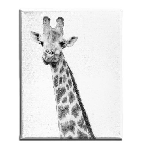 EPIKASA Canvas Print Giraffe - Black 100x3x150 cm