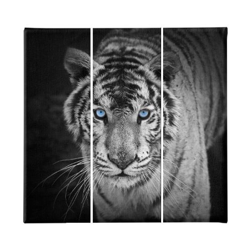 EPIKASA Canvas Print Tiger 1 - Black 23x3x50 cm (3 Pcs)