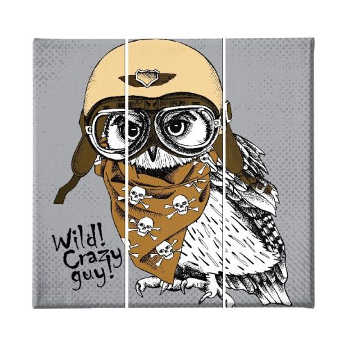 EPIKASA Canvas Print Owl - Multicolor 23x3x50 cm (3 Pcs)