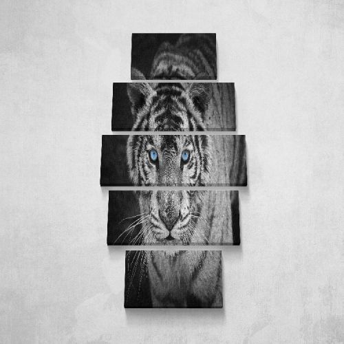 EPIKASA Canvas Print Tiger - Black 40x3x20 cm (2 Pcs), 50x3x20 cm (2 Pcs), 60x3x20 cm (1 Pcs)