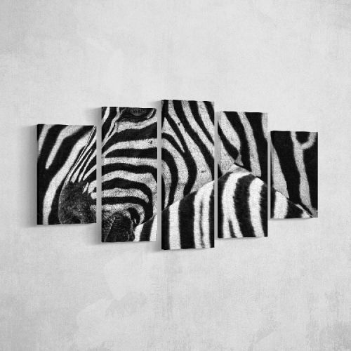 EPIKASA Canvas Print Zebra - Black 20x3x40 cm (2 pcs), 20x3x50 cm (2 pcs),  20x3x60 cm (1 pcs)