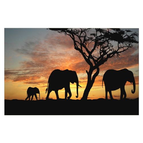 EPIKASA Stampa su Tela Elefante 2 - Arancione 150x3x100 cm