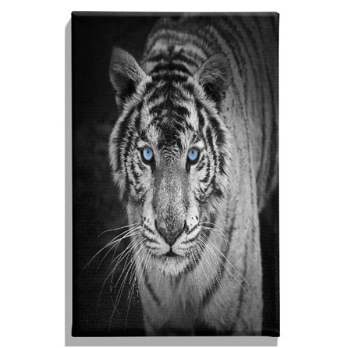 EPIKASA Canvas Print Tiger 1 - Black 45x3x70 cm