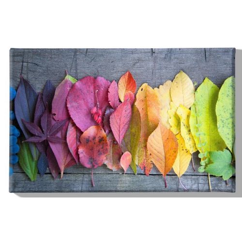 EPIKASA Canvas Print Colored Leaves - Multicolor 70x3x45 cm