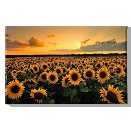 EPIKASA Canvas Print Sunflowers - Orange 70x3x45 cm