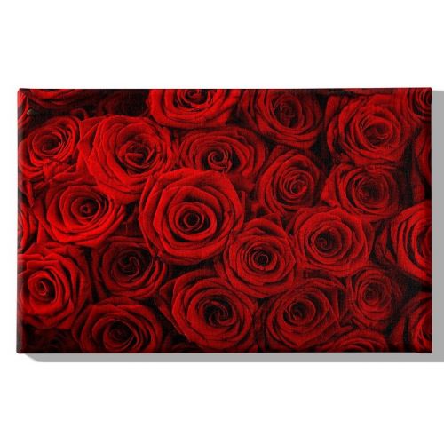 EPIKASA Canvas Print Flowers - Red 70x3x45 cm