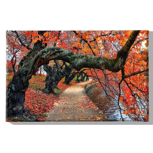 EPIKASA Canvas Print Tree 11 - Red 70x3x45 cm
