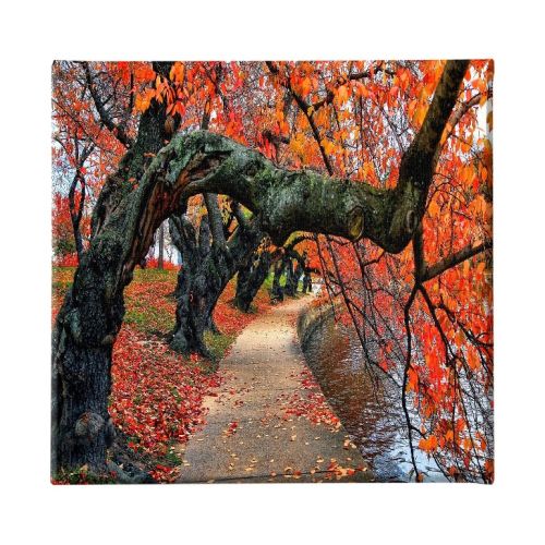 EPIKASA Canvas Print Tree 7 - Red 60x3x60 cm