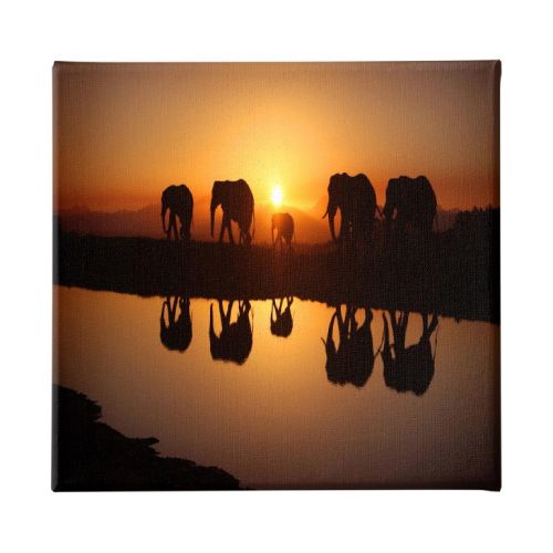 EPIKASA Stampa su Tela Elefante - Arancione 60x3x60 cm