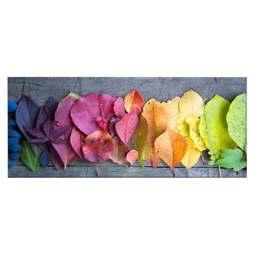 EPIKASA Canvas Print Colourful Leaves 3 - Multicolor 100x3x70 cm