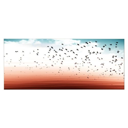 EPIKASA Stampa su Tela Uccelli 1 - Arancione 100x3x70 cm