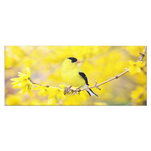 EPIKASA Canvas Print Birds - Yellow 100x3x70 cm