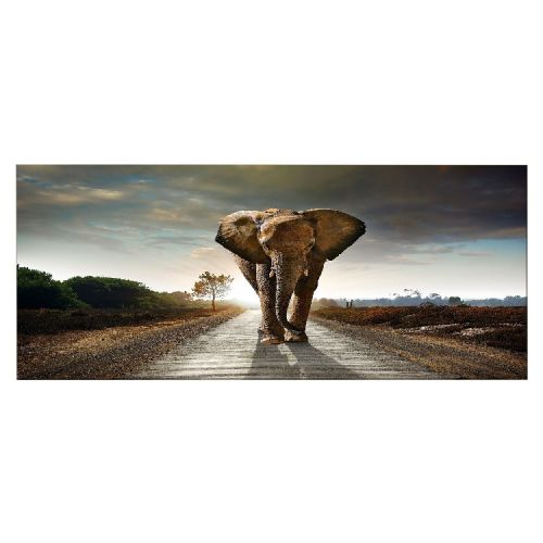 EPIKASA Canvas Print Elephant - Multicolor 100x3x70 cm