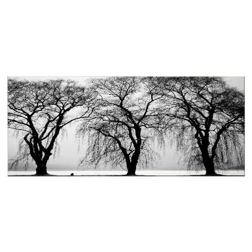 EPIKASA Canvas Print Tree 5 - Black 100x3x70 cm