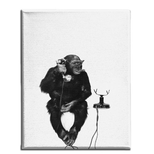 EPIKASA Stampa su Tela Chimpanzee - Nero 45x3x70 cm