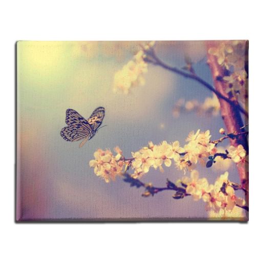 EPIKASA Canvas Print Butterfly 2 - Multicolor 70x3x45 cm