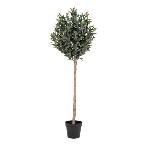 EPIKASA Artificial Plant Olive - Green 58x58x150 cm